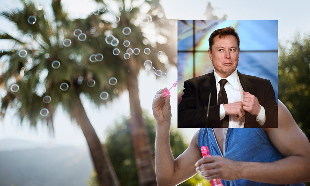 Elon Musk crypto bubble?