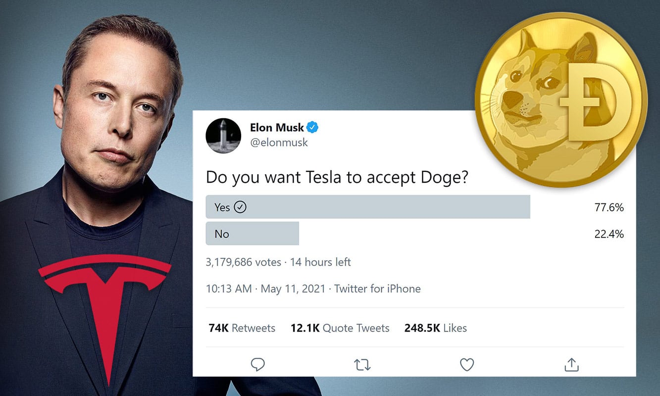 Elon Musk Just Twitted Asking if Tesla Should Accept Doge ...